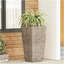 MGO PLANT