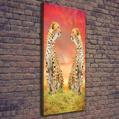 Two Cheetahs - Wrapped Canvas Print