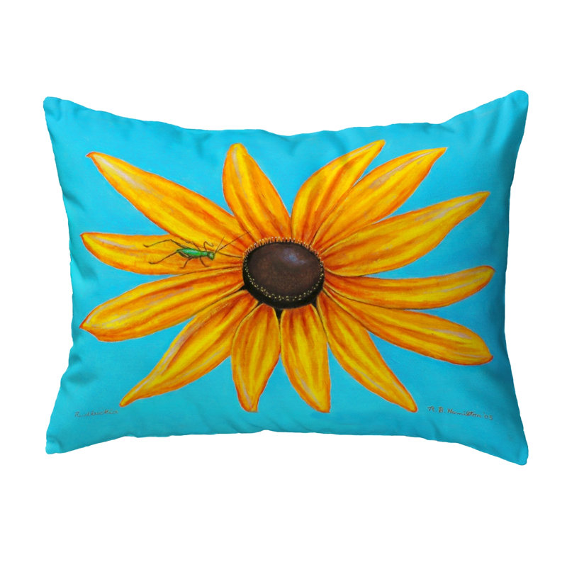  Housse et insert de coussin d'extérieur pour l'extérieur, 16" x 20"