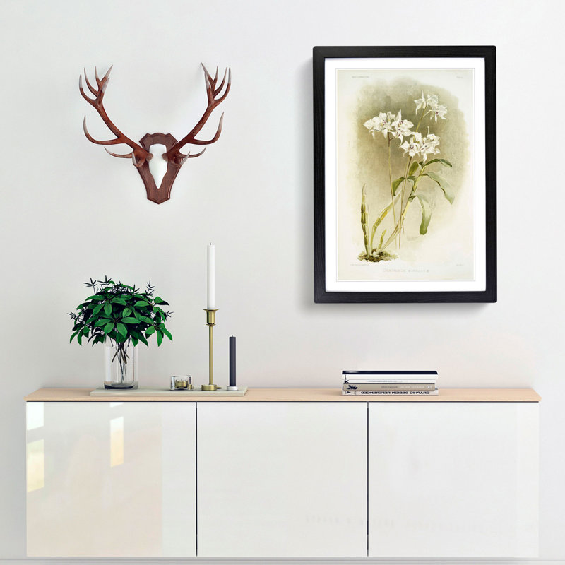 Magnolia Flowers Illustration Tab. 61 by Frederick Sander - Picture Frame Painting Print, 91cm H x 60cm W x 2cm D, Black