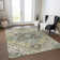 Machine Washable Indoor/Outdoor Chayden ACN1036 Rug