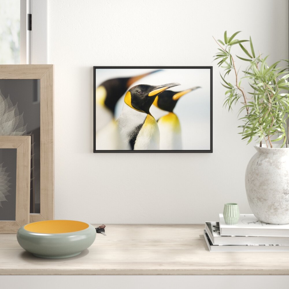 Gerahmtes Wandbild Pinguine