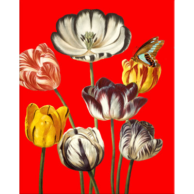 " Color Me Floral #2 "