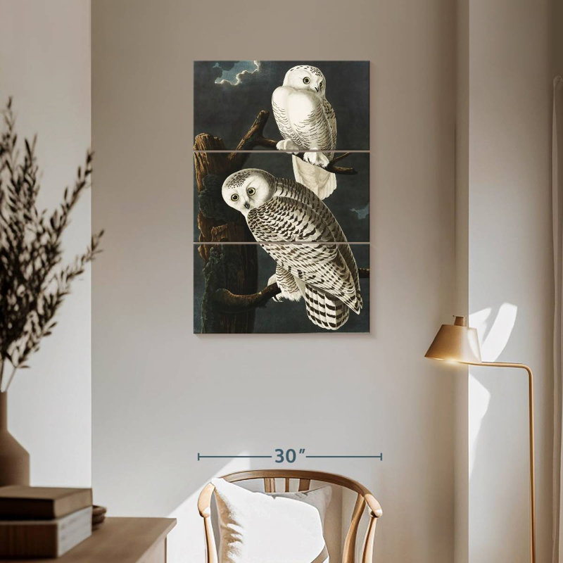 Brampt Snowy Owls, 57" H x 36" W
