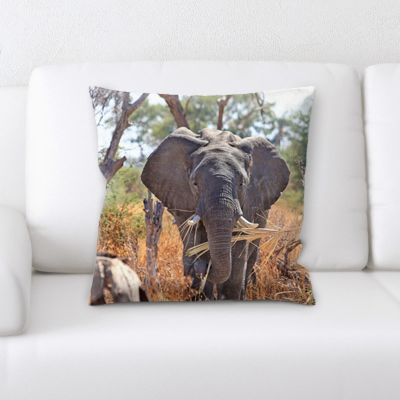 Microsuede Throw Pillow