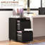 Starkville 2 Drawer Filing Cabinet