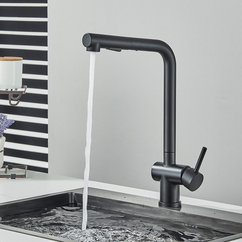 Belfry Kitchen Raposo Pull Out Kitchen Faucet