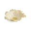 Tulip Centerpiece Bowl-1877951974