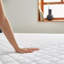 Bedding Fitted Mattress Protector Case Pack-992179835