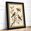 Perched Among Branches Botanical - Framed Print-809926439-809926443