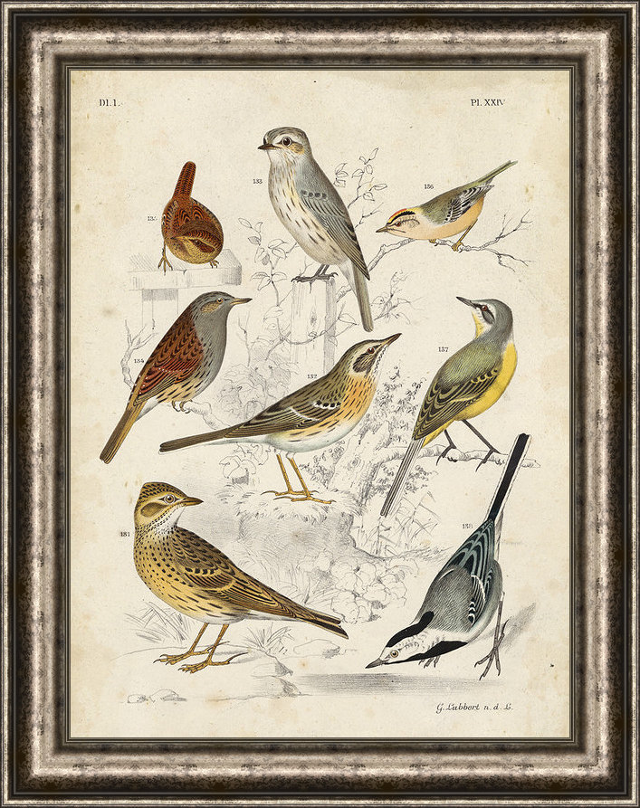 " Gathering Of Birds I " Ashton Wall Décor LLC