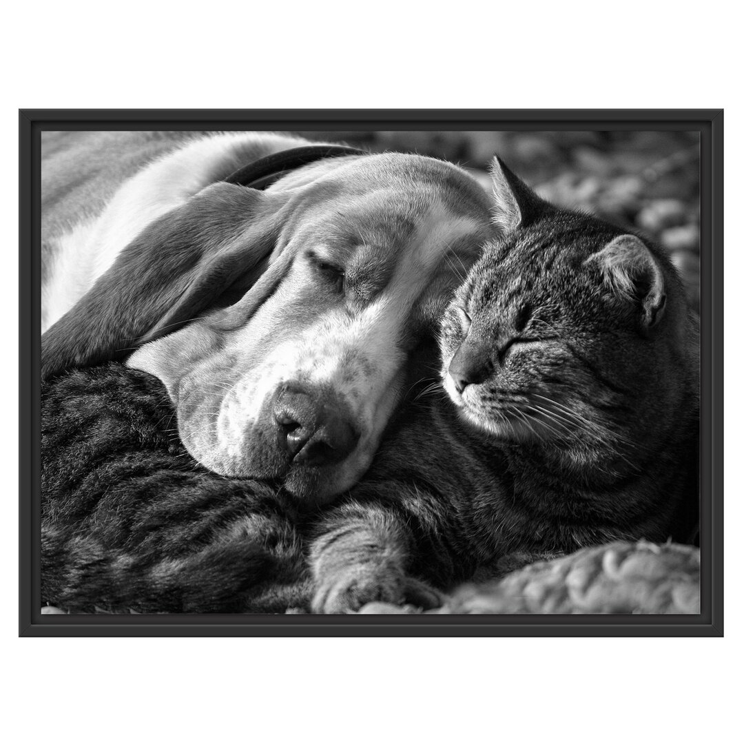 Gerahmtes Wandbild Katze und Hund kuschelnd Kunst B&W