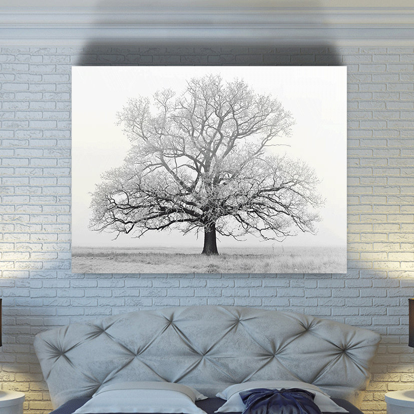 Ebern Designs 'Nature's Beauty of the Lonesome Tree in the Winter ...