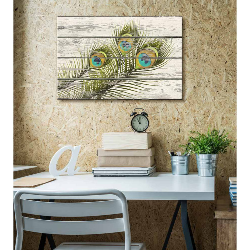 Illustration de plumes de paon colorées, art de maison rustique, H 12 po x l 18 po