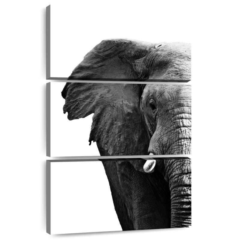 Brampt Wrinkled African Elephant, 50" H x 32" W
