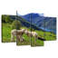 Mouton Brampt-108819353