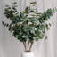 Branche d'eucalyptus artificiel Audet (1 tige)-1336703799
