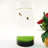 Rebrilliant® Eco-Container Sealable Acrylic Cylinder Aquarrium Terrarium 265E1FC3E1E343449E7C3153679C66F9