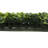 50" Artificial Green Boxwood Mat.
