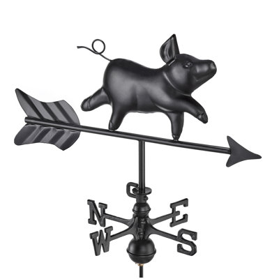 Sharyon 26'' H Aluminum Weathervane