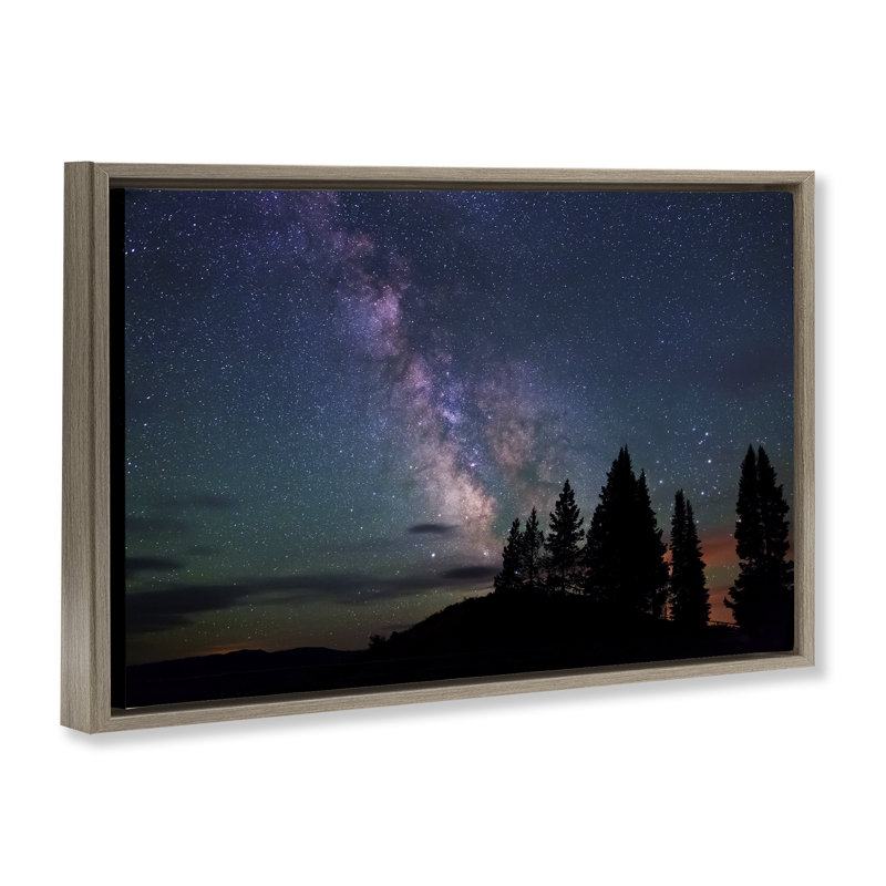 Silhouette flottante de la forêt et du ciel nocturne, conception par Royce Bair, Cadre flottant orme Montalcino
