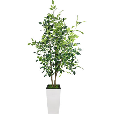 23 cm H Faux Plant