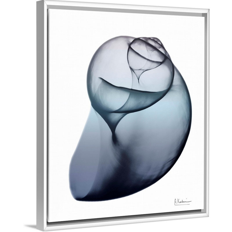 "Lavender Snail 3" par Albert Koetsier, reproduction d’art sur toile, Toile encadrée flottée blanche