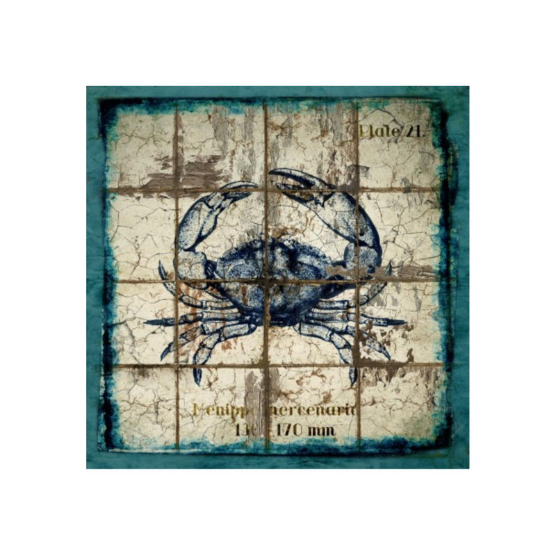 «Archaic Crustacean II» par Chelsea Art Studio - impression d'art graphique, H 24 po x l 24 po, Extérieur