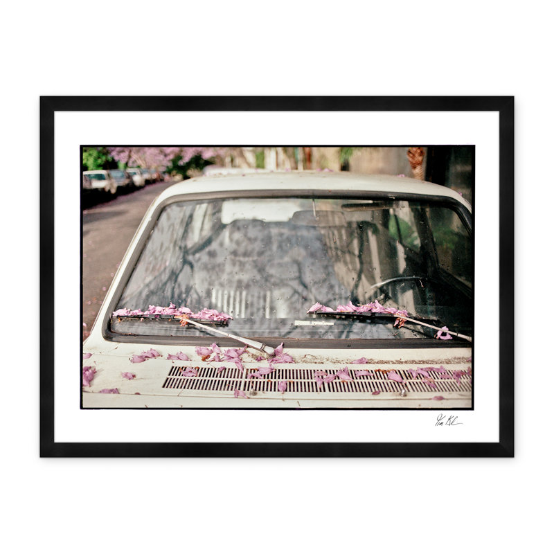 Petals On The Windshield par Tim Klein - Photographie avec cadre photo