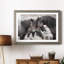 Chevaux sauvages - Photographie avec cadre photo-2049960918-2049960919