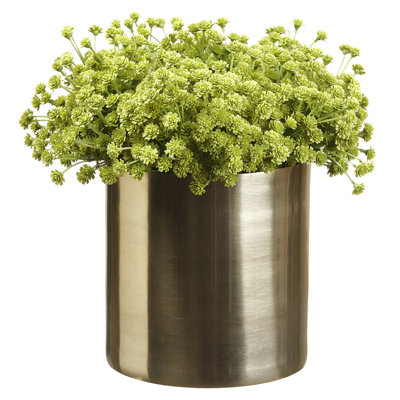 Baby's Breath In Cylinder Green