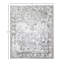 Royal Oriental Area Rug in Shadow-77040361