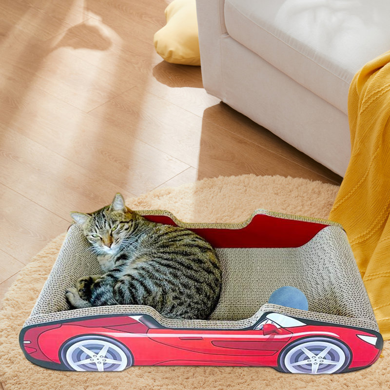 Nid de chat Denizhan
