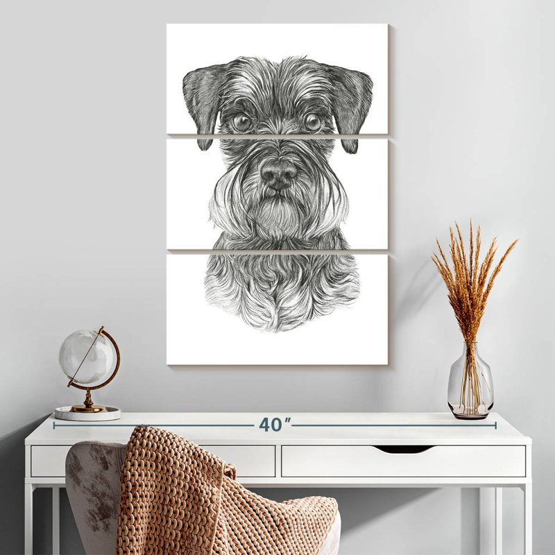 Schnauzer, H 32 po x l 20 po