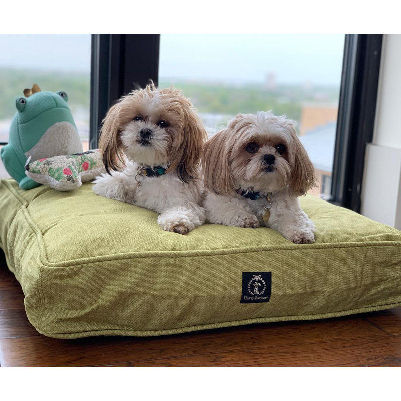 Lit pour chien Heather, Vert, Petit (l 26 po x P 20 po x H 5 po)