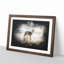 Border Collie Dog at the Beach - Picture Frame Painting Print-56855231-56855229