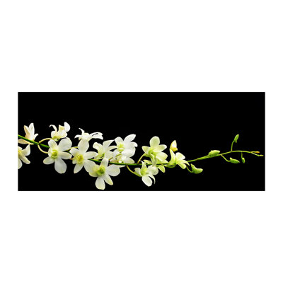 Orchid 1 Piece Wrapped Canvas Wall Art