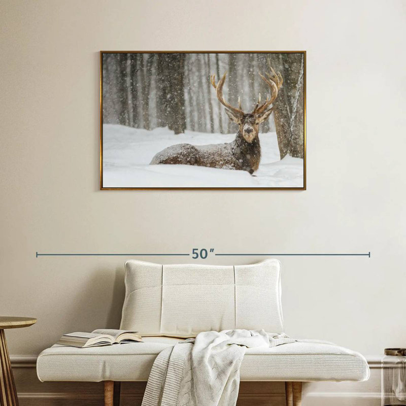 Wapiti recouvert de neige, Cadre flottant doré, 37 po x 25 po