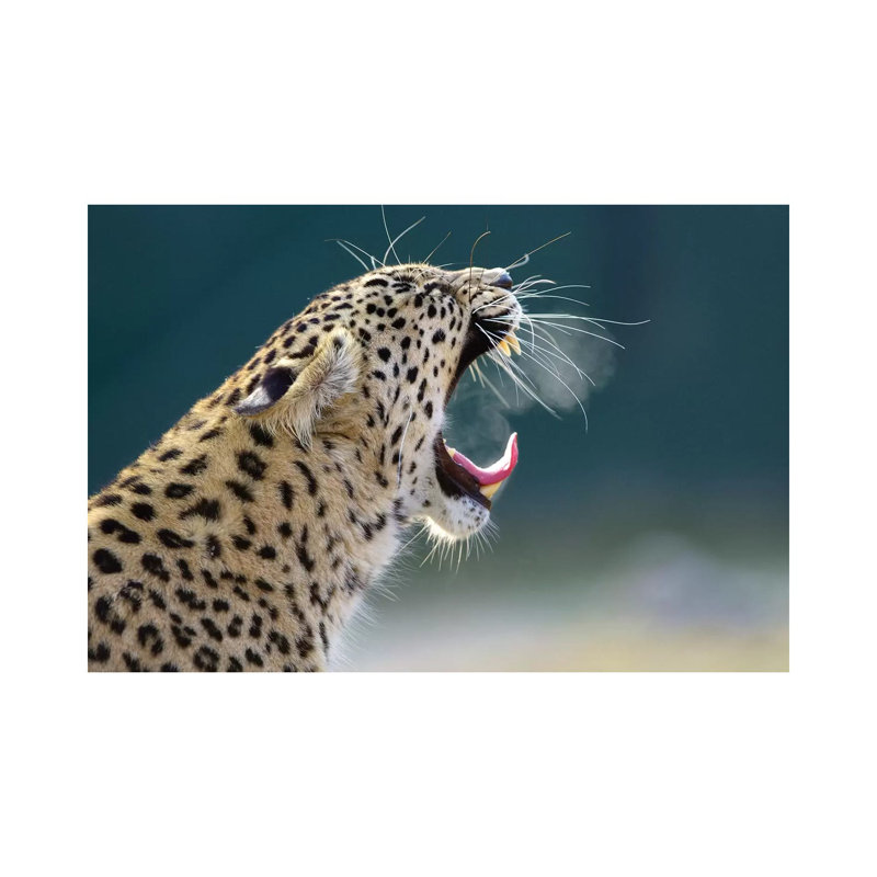 Smoking Leopard by Goran Anastasovski - Wrapped Canvas Print, 20.32 cm H x 30.48 cm W