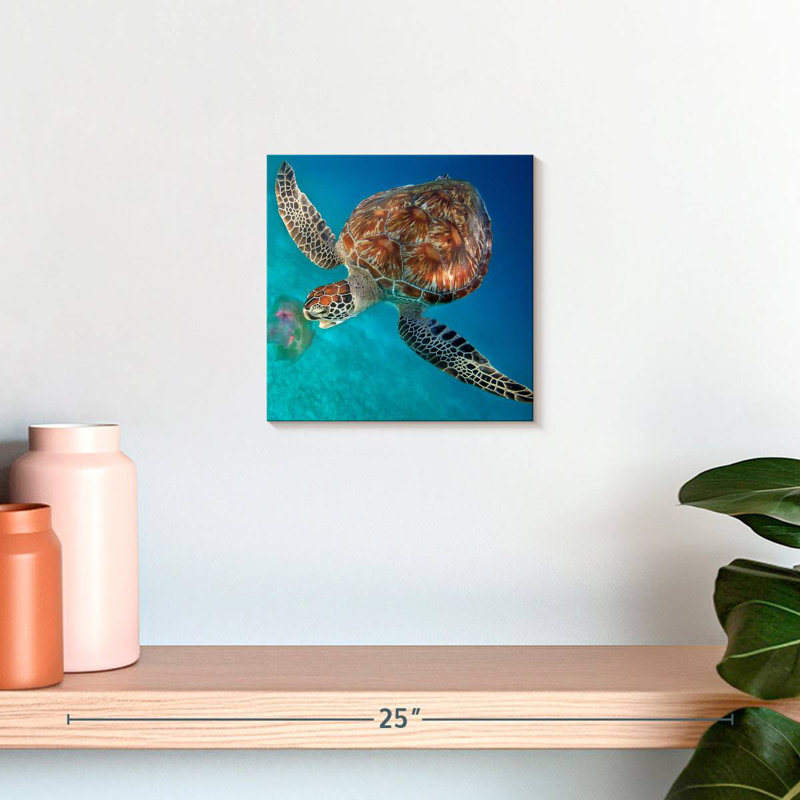 Crowle Turtle Eating Jellyfish, H 10 po x l 10 po
