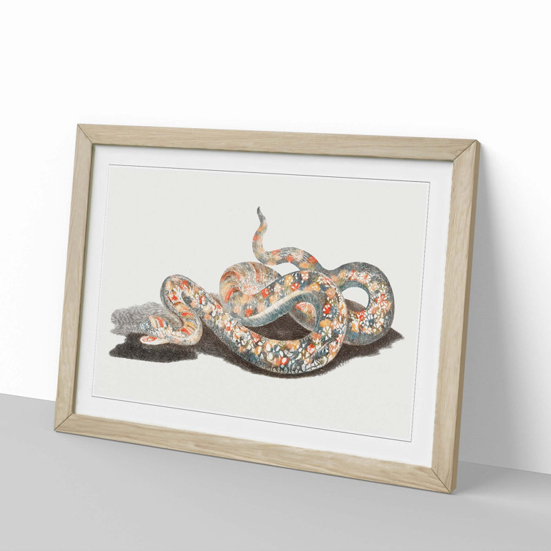 A Snake by Johan Teyler - Single Picture Frame Painting, 45cm H x 63cm W x 2cm D, Oak Framed
