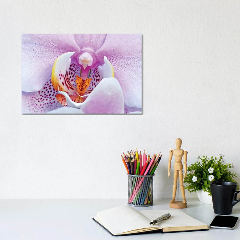 Orchid 1 Piece Wrapped Canvas Wall Art, 20.32cm H x 30.48cm W x 1.91cm D