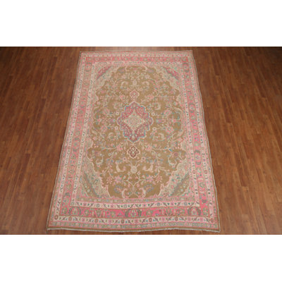 Light Brown  Traditional Area Rug 7x11