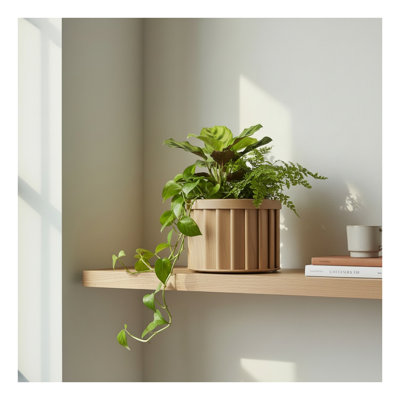 Pot de fleurs d'extérieur moderne en aluminium Strata Modern - Beige brun clair avec pot de drainage