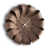 Dark Brown/Black