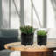 Ensemble de 2 pots à fleurs en céramique texturée noir brillant pour plantes d'intérieur et d'extérieur-125533858