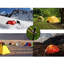 Piquets de tente en acier robuste de 12 pouces avec cordes de 10 pieds - Multi-usage pour auvent de camping extérieur et bâche-93672854