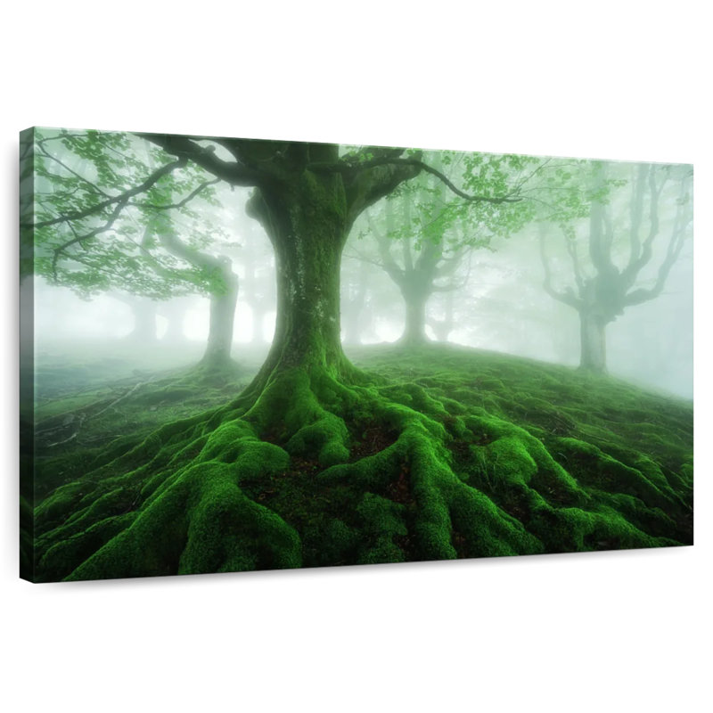 Alvord Mossy Foggy Forest, 32" H x 48" W
