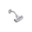 Showerhead with Arm (1.75 GPM)-388750237