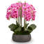 Brianna RealTouch Orchid Arrangement